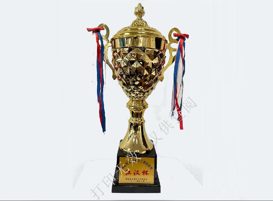 湖北省水利工程优质奖“江汉杯”